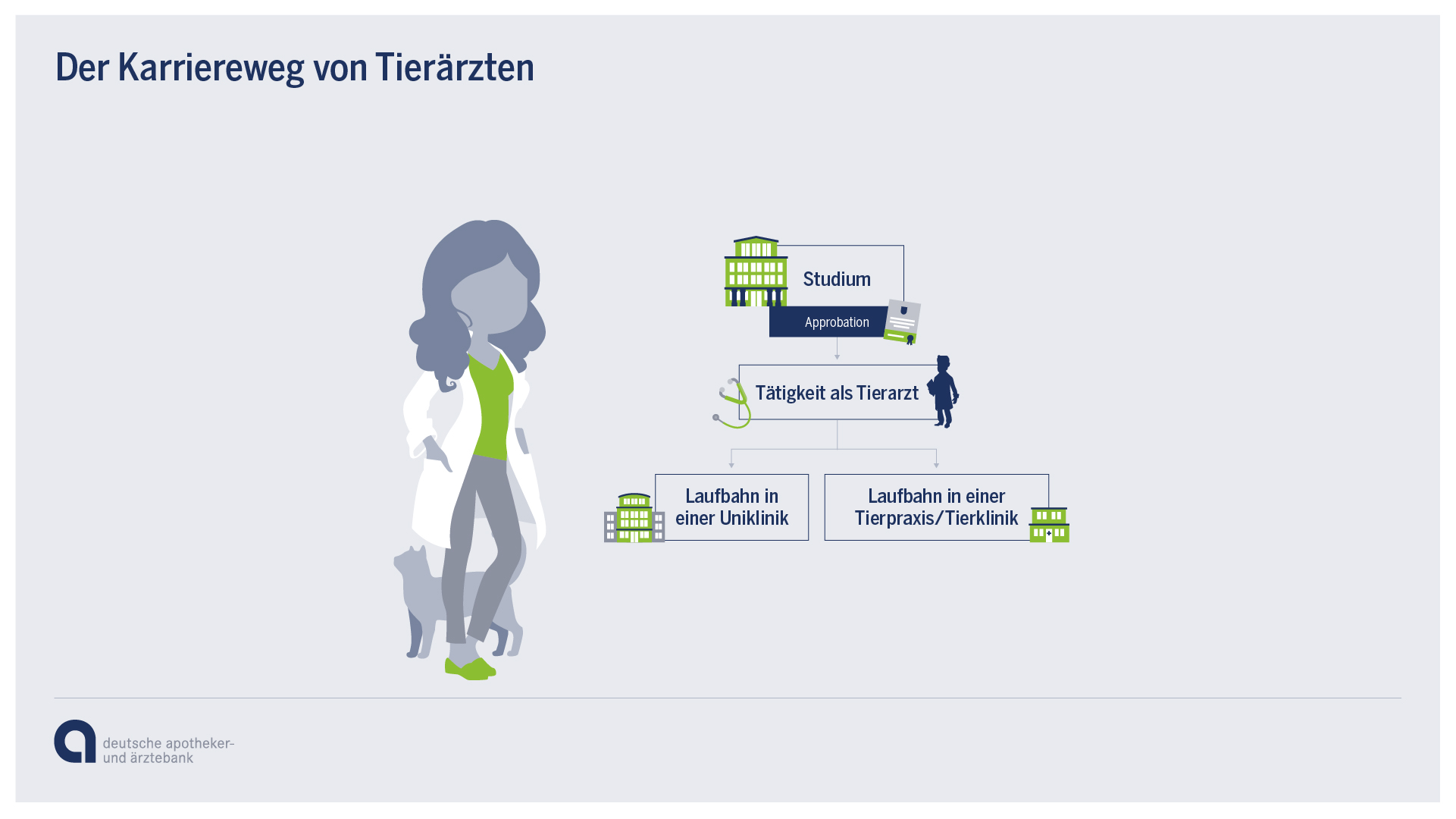 Karrierewege Tierarzt Karrierewege Tierarzt