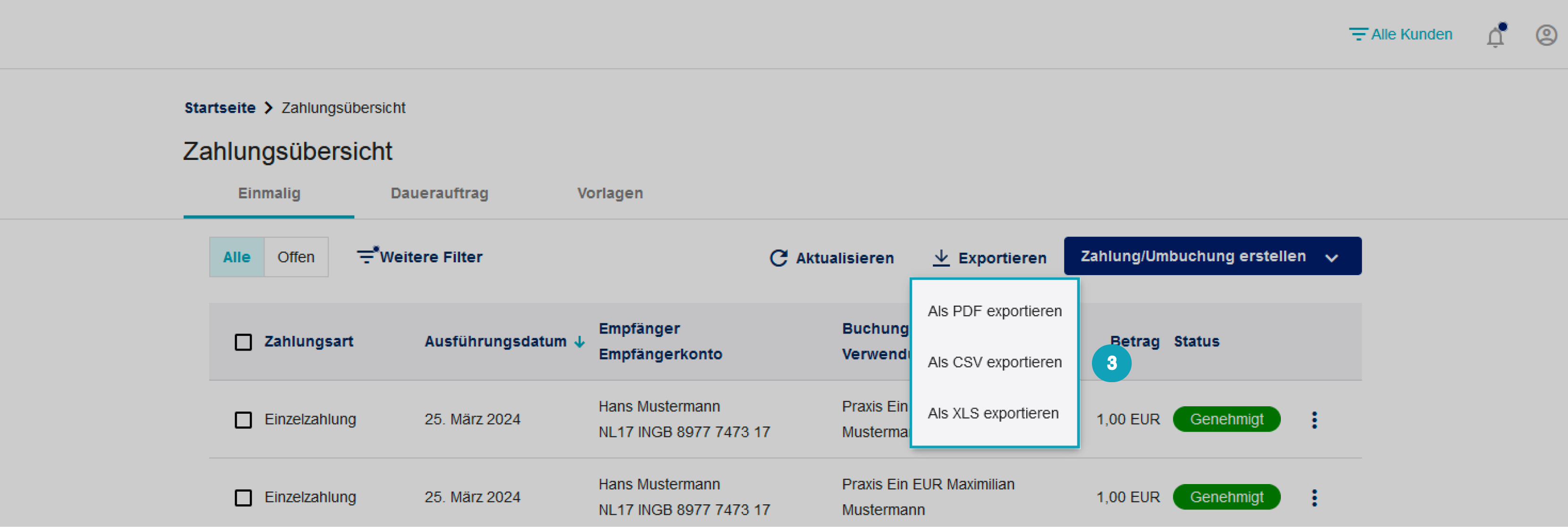 Das Bild zeigt, wie Sie das Dateiformat zum herunterladen auswählen.