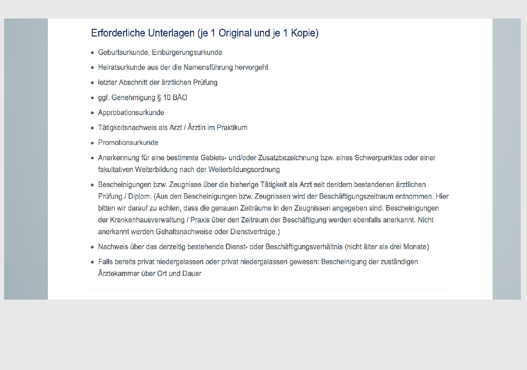 Praxisbörse Leitfaden mit Detailinfos alt